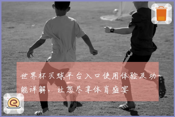 世界杯买球平台入口使用体验及功能详解，让您尽享体育盛宴