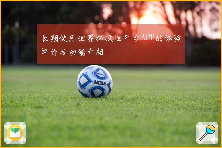 长期使用世界杯投注平台APP的体验评价与功能介绍
