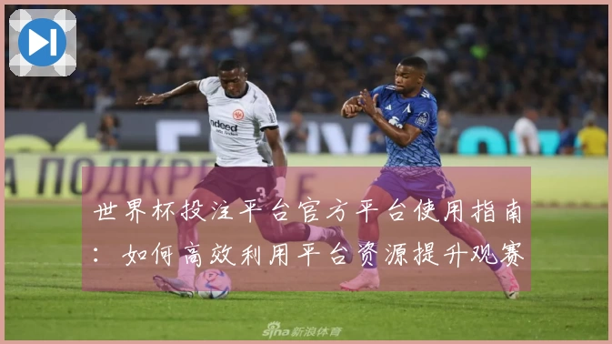 世界杯投注平台官方平台使用指南：如何高效利用平台资源提升观赛体验