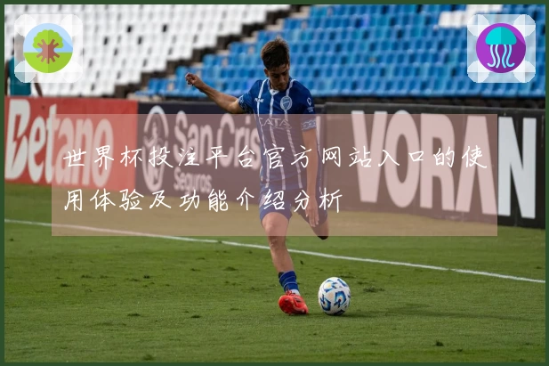 世界杯投注平台官方网站入口的使用体验及功能介绍分析