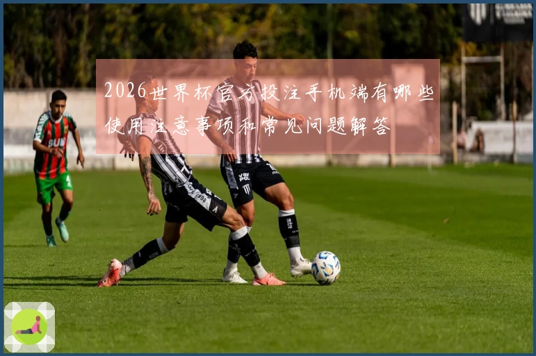 2026世界杯官方投注手机端有哪些使用注意事项和常见问题解答