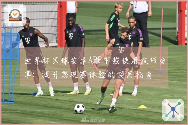 世界杯买球安卓APP下载使用技巧分享:提升您观赛体验的实用指南
