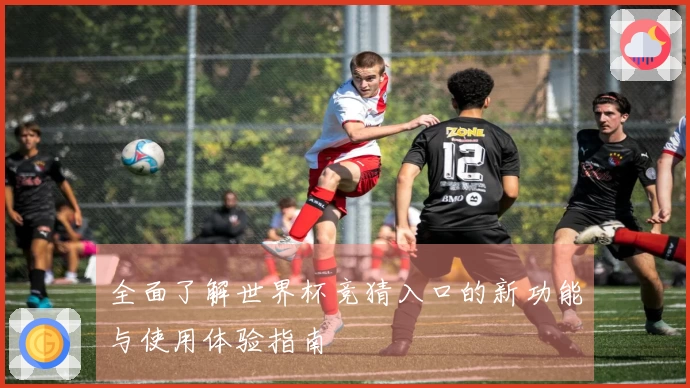 全面了解世界杯竞猜入口的新功能与使用体验指南