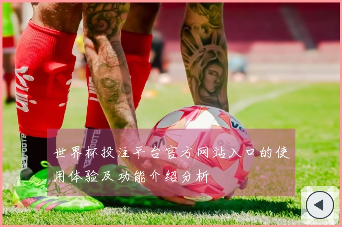 世界杯投注平台官方网站入口的使用体验及功能介绍分析