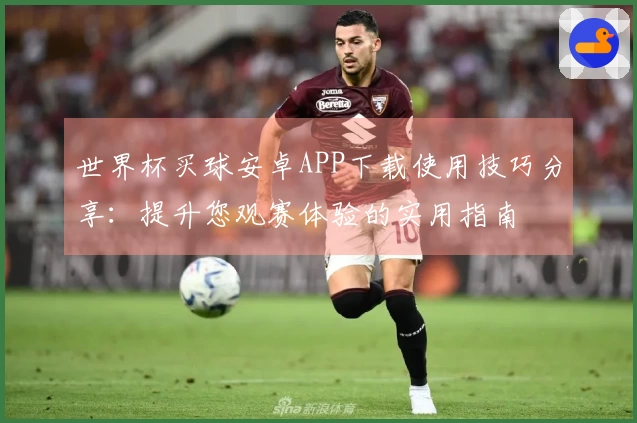 世界杯买球安卓APP下载使用技巧分享：提升您观赛体验的实用指南