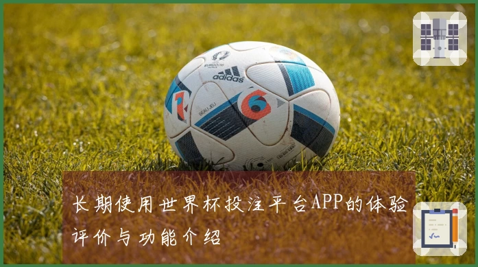 长期使用世界杯投注平台APP的体验评价与功能介绍