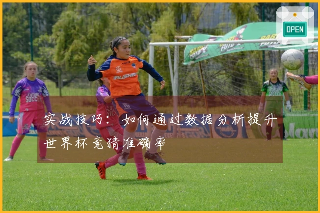 实战技巧：如何通过数据分析提升世界杯竞猜准确率