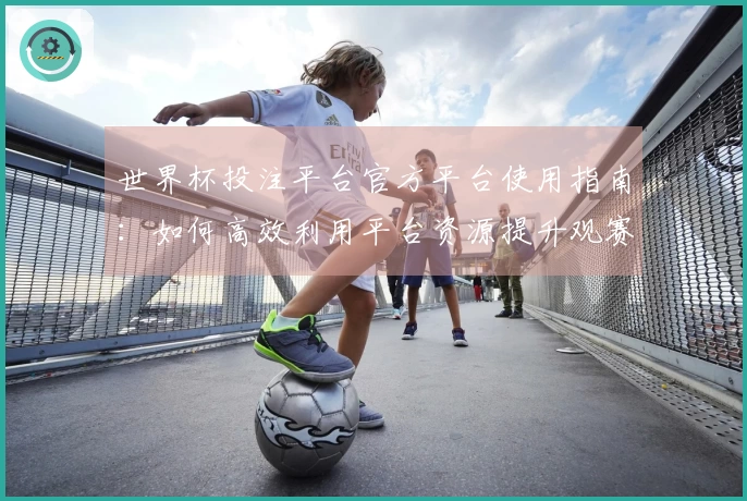 世界杯投注平台官方平台使用指南：如何高效利用平台资源提升观赛体验