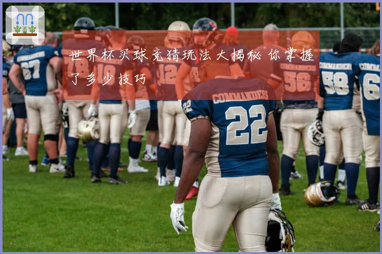 世界杯买球竞猜玩法大揭秘 你掌握了多少技巧